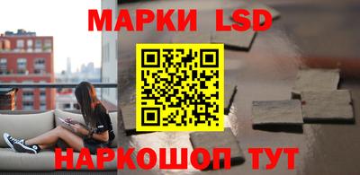 СК Новокубанск
