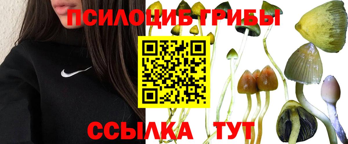Славянск-на-Кубани  Псилоцибиновые грибы мицелий  Вход с VPN 